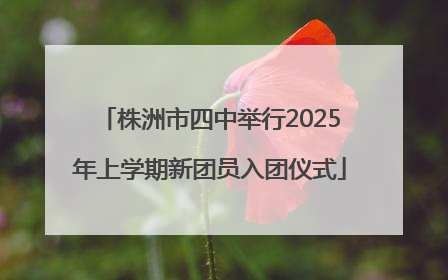 株洲市四中举行2025年上学期新团员入团仪式