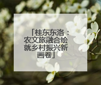 桂东东洛：农文旅融合绘就乡村振兴新画卷