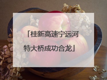 桂新高速宁远河特大桥成功合龙