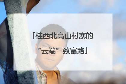 桂西北高山村寨的“云端”致富路