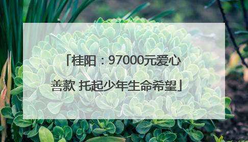 桂阳：97000元爱心善款 托起少年生命希望