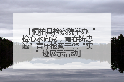 桐柏县检察院举办“检心永向党，青春铸忠诚”青年检察干警“实”迹展示活动