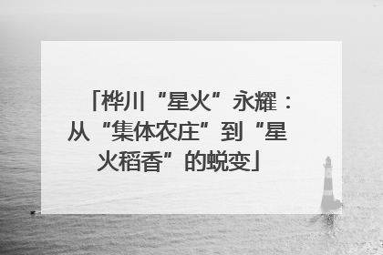 桦川“星火”永耀：从“集体农庄”到“星火稻香”的蜕变