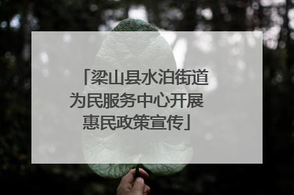 梁山县水泊街道为民服务中心开展惠民政策宣传