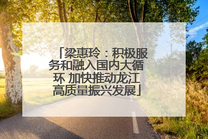 梁惠玲：积极服务和融入国内大循环 加快推动龙江高质量振兴发展