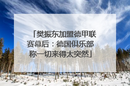 樊振东加盟德甲联赛幕后：德国俱乐部称一切来得太突然