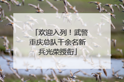 欢迎入列！武警重庆总队千余名新兵光荣授衔