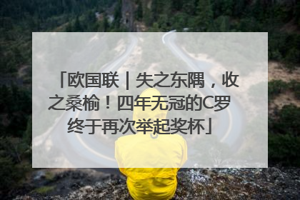 欧国联｜失之东隅，收之桑榆！四年无冠的C罗终于再次举起奖杯
