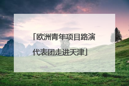 欧洲青年项目路演代表团走进天津