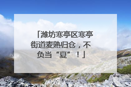 潍坊寒亭区寒亭街道麦熟归仓，不负当“夏”！