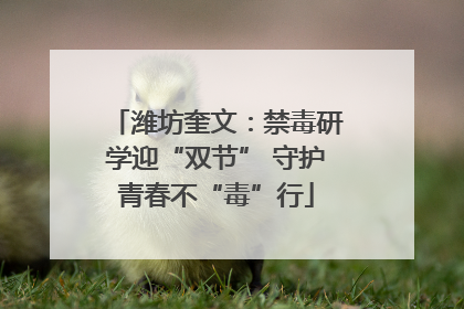 潍坊奎文：禁毒研学迎“双节” 守护青春不“毒”行