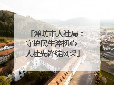 潍坊市人社局：守护民生淬初心 人社先锋绽风采
