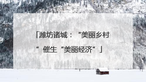 潍坊诸城：“美丽乡村”催生“美丽经济”