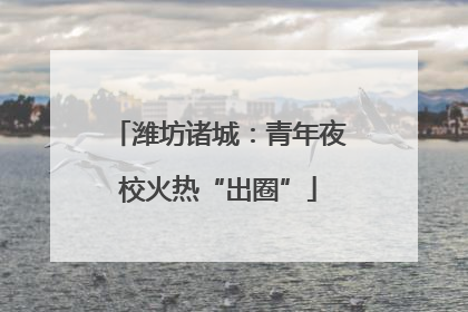 潍坊诸城：青年夜校火热“出圈”