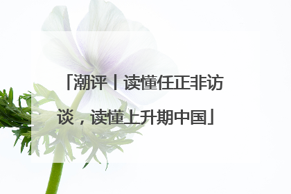 潮评丨读懂任正非访谈，读懂上升期中国