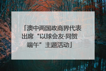 澳中两国政商界代表出席“以球会友·同贺端午”主题活动