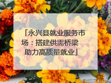 永兴县就业服务市场：搭建供需桥梁 助力高质量就业