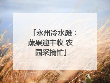 永州冷水滩：蔬果迎丰收 农园采摘忙