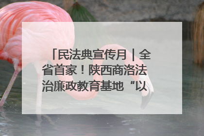 民法典宣传月｜全省首家！陕西商洛法治廉政教育基地“以案说纪”润人心