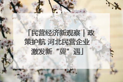民营经济新观察｜政策护航 河北民营企业激发新“冀”遇