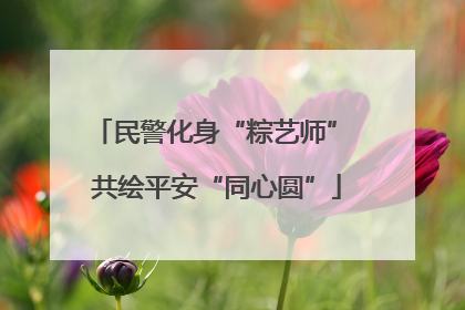民警化身“粽艺师” 共绘平安“同心圆”