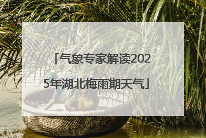 气象专家解读2025年湖北梅雨期天气