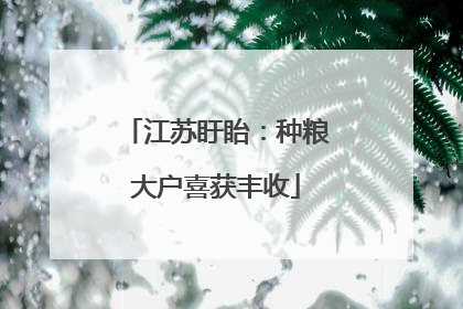 江苏盱眙：种粮大户喜获丰收