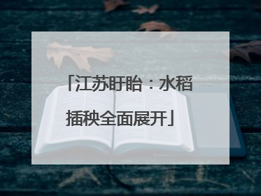 江苏盱眙：水稻插秧全面展开