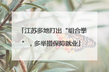 江苏多地打出“组合拳”，多举措保障就业