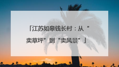 江苏如皋钱长村：从“卖草坪”到“卖风景”