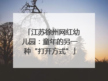 江苏徐州网红幼儿园：童年的另一种“打开方式”