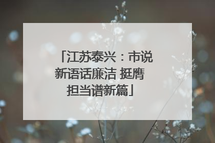 江苏泰兴：市说新语话廉洁 挺膺担当谱新篇