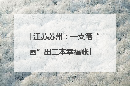 江苏苏州：一支笔“画”出三本幸福账
