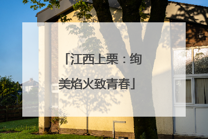 江西上栗：绚美焰火致青春