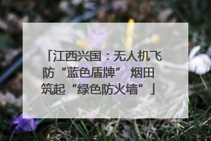 江西兴国：无人机飞防“蓝色盾牌” 烟田筑起“绿色防火墙”