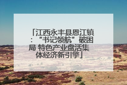 江西永丰县恩江镇：“书记领航”破困局 特色产业盘活集体经济新引擎