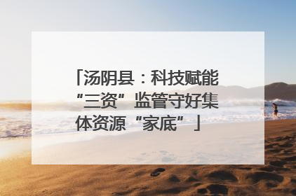 汤阴县：科技赋能“三资”监管守好集体资源“家底”