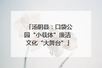 汤阴县：口袋公园“小载体”廉洁文化“大舞台”