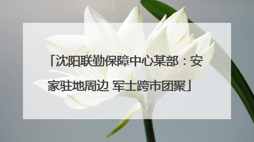 沈阳联勤保障中心某部：安家驻地周边 军士跨市团聚