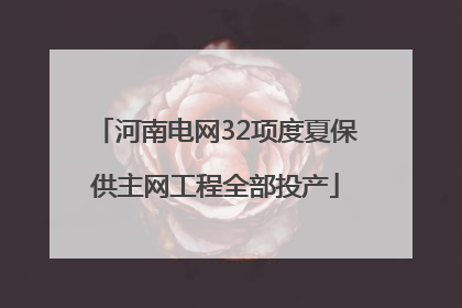 河南电网32项度夏保供主网工程全部投产