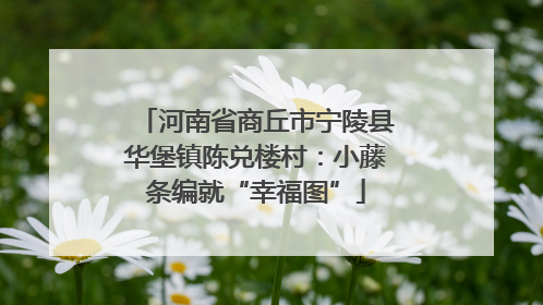 河南省商丘市宁陵县华堡镇陈兑楼村：小藤条编就“幸福图”