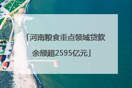 河南粮食重点领域贷款余额超2595亿元
