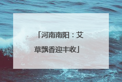河南南阳：艾草飘香迎丰收