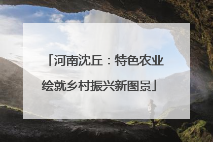 河南沈丘：特色农业绘就乡村振兴新图景