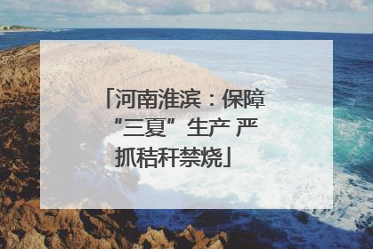 河南淮滨：保障“三夏”生产 严抓秸秆禁烧