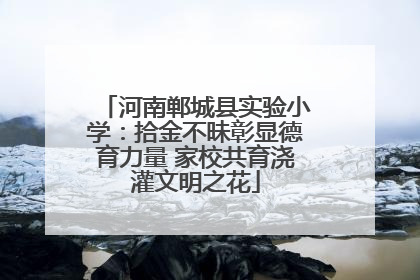 河南郸城县实验小学：拾金不昧彰显德育力量 家校共育浇灌文明之花