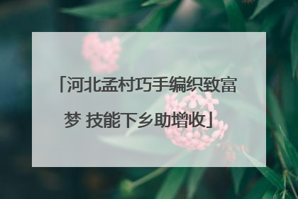 河北孟村巧手编织致富梦 技能下乡助增收