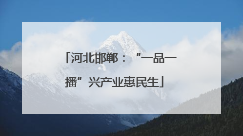 河北邯郸：“一品一播”兴产业惠民生