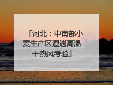 河北：中南部小麦生产区遭遇高温干热风考验