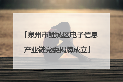 泉州市鲤城区电子信息产业链党委揭牌成立